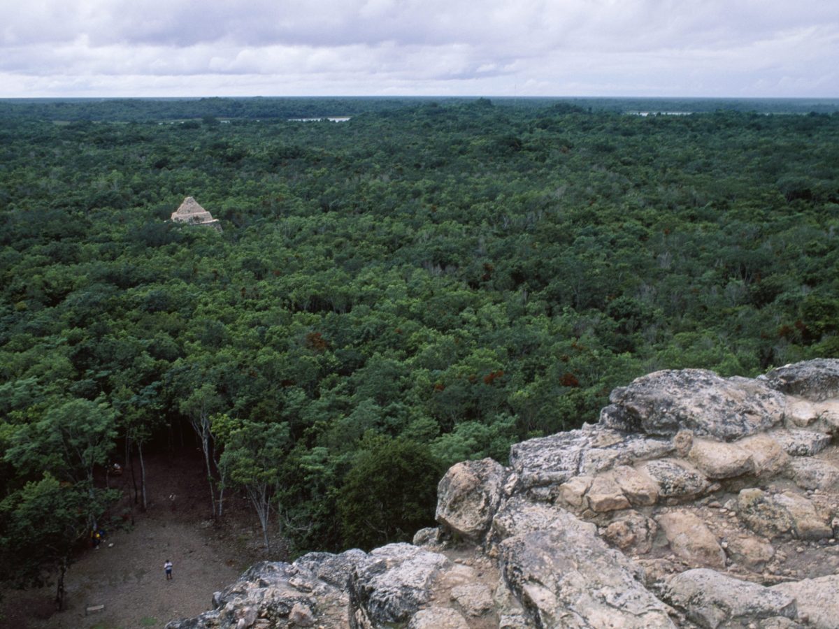 Stories of Resistance: Two Mayan Warriors